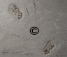 image K633-(3)