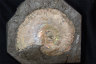 image K324-(4)