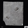 image K633