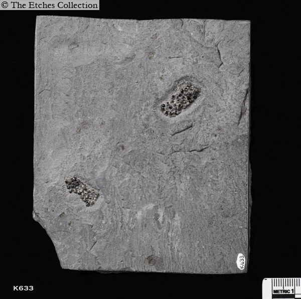 K633 image K633
