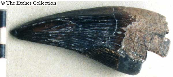 K0821 image K0821