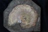 image K324-(3)
