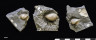 image K987